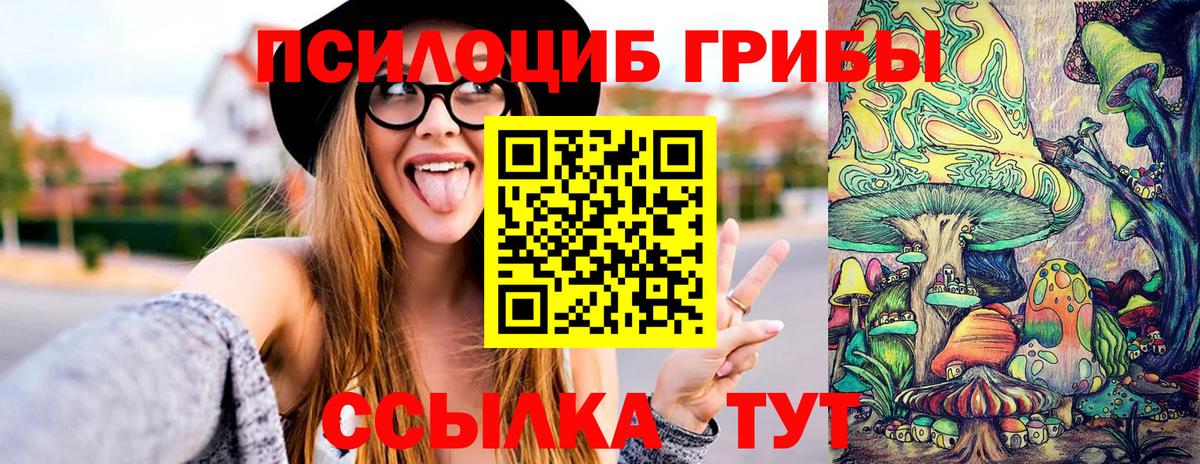 Киров  Псилоцибиновые грибы GOLDEN TEACHER  Вход с VPN  где продают   Галлюциногенные грибы Magic Shrooms 